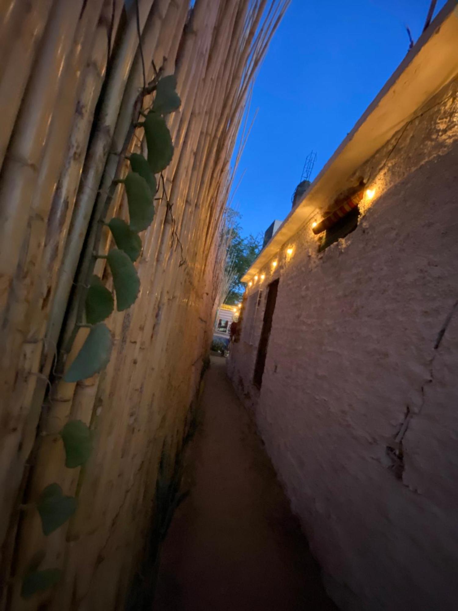 Aloha Surf Hostel San Jose del Cabo Luaran gambar