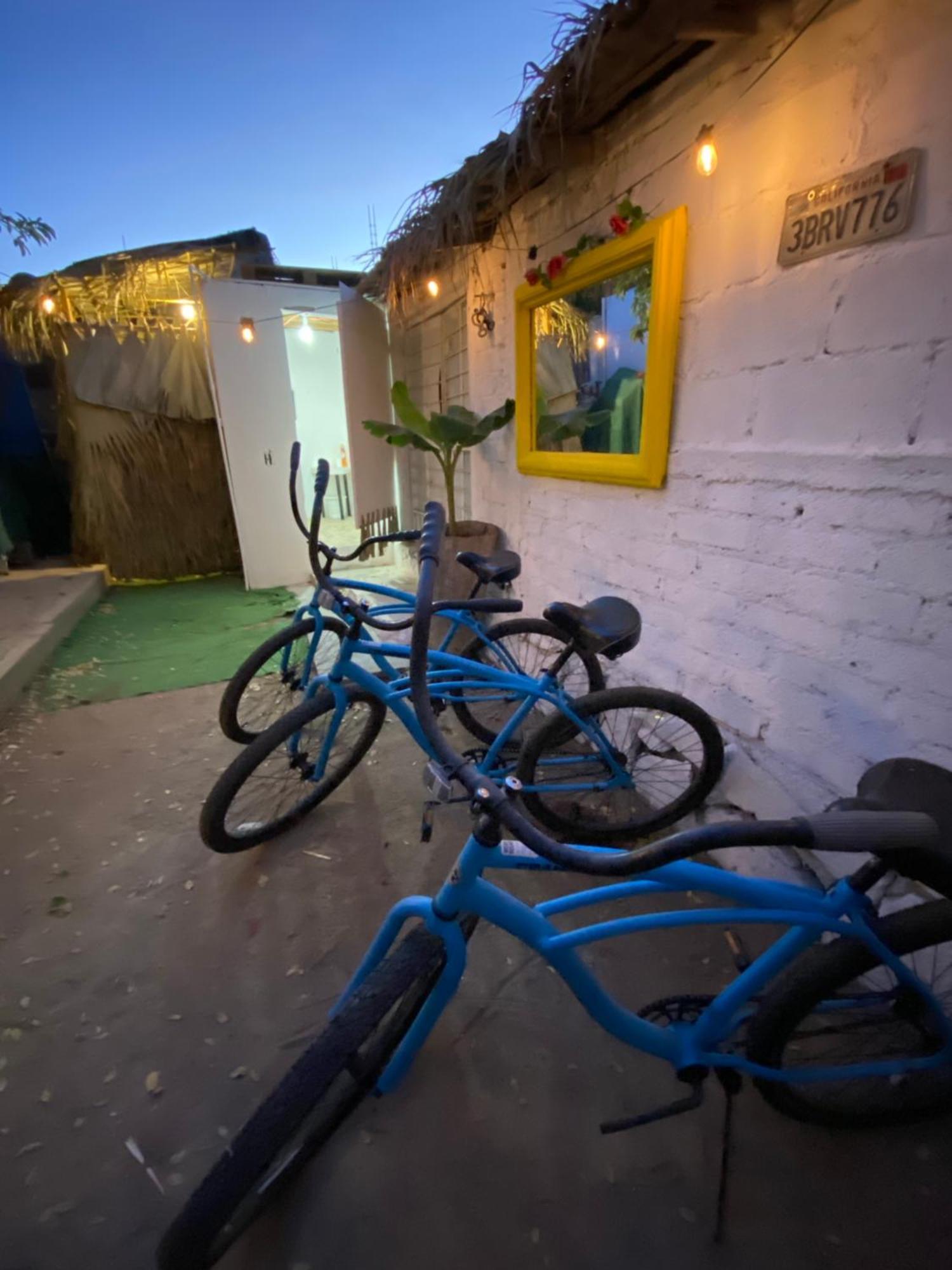 Aloha Surf Hostel San Jose del Cabo Luaran gambar