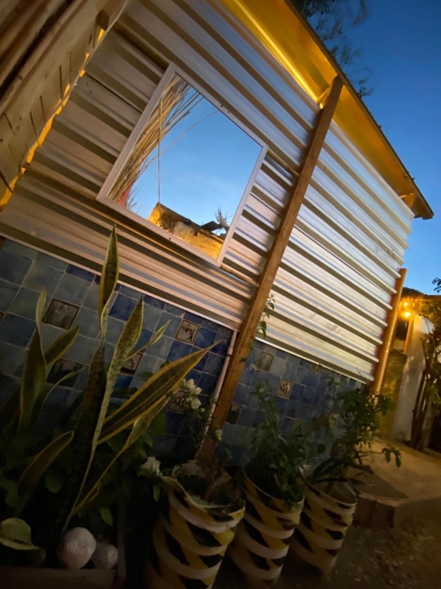 Aloha Surf Hostel San Jose del Cabo Luaran gambar