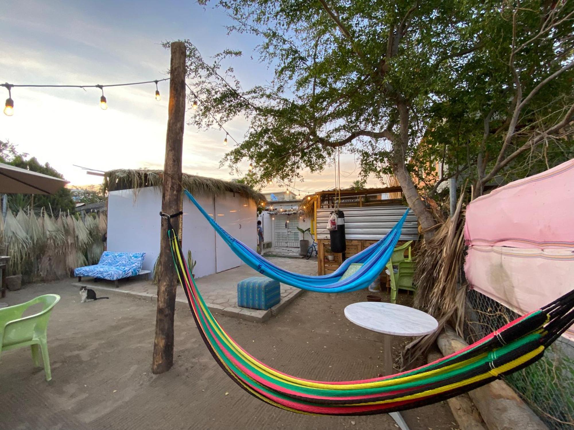 Aloha Surf Hostel San Jose del Cabo Luaran gambar
